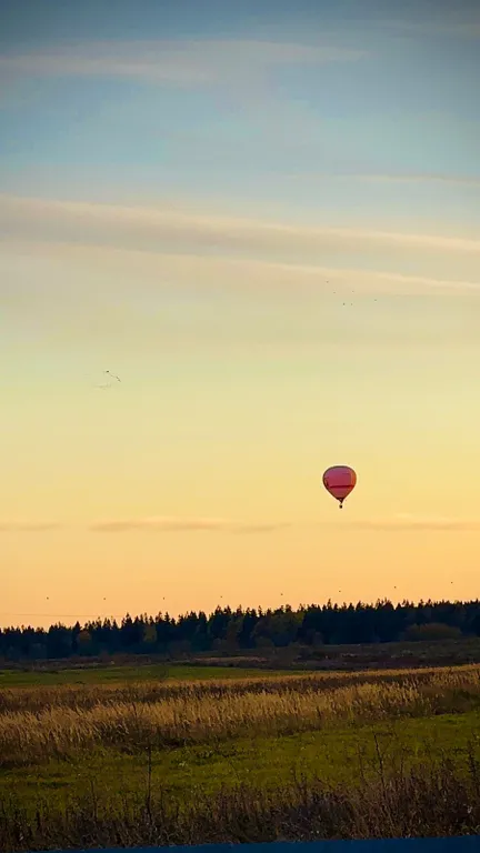 Коттедж Дом шалаш — Санкт-Петербург