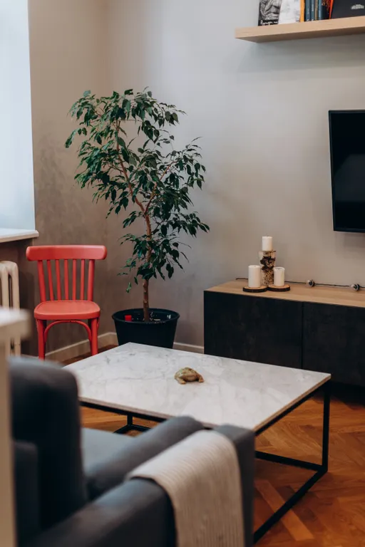 Квартира в одном из самых красивых домов города