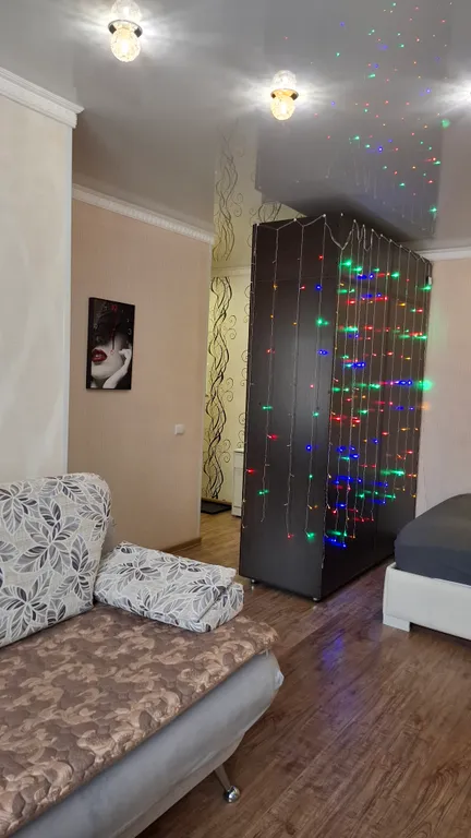 Уютная однокомнатная квартира в спокойном районе, с кроватью и диваном