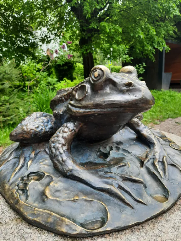 Квартира Квартира Уютная 2к студия у моря — Светлогорск