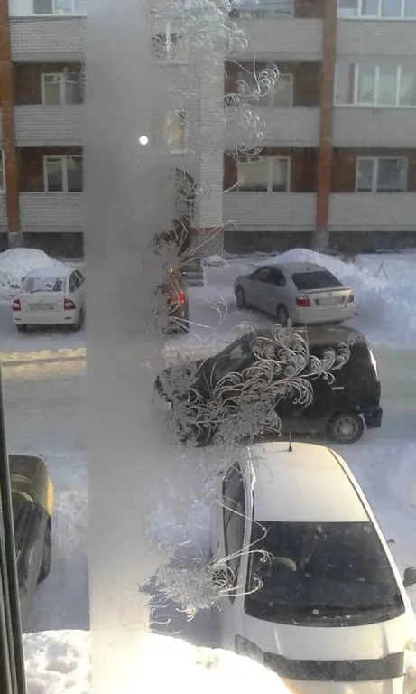 Студия в Белокаменном