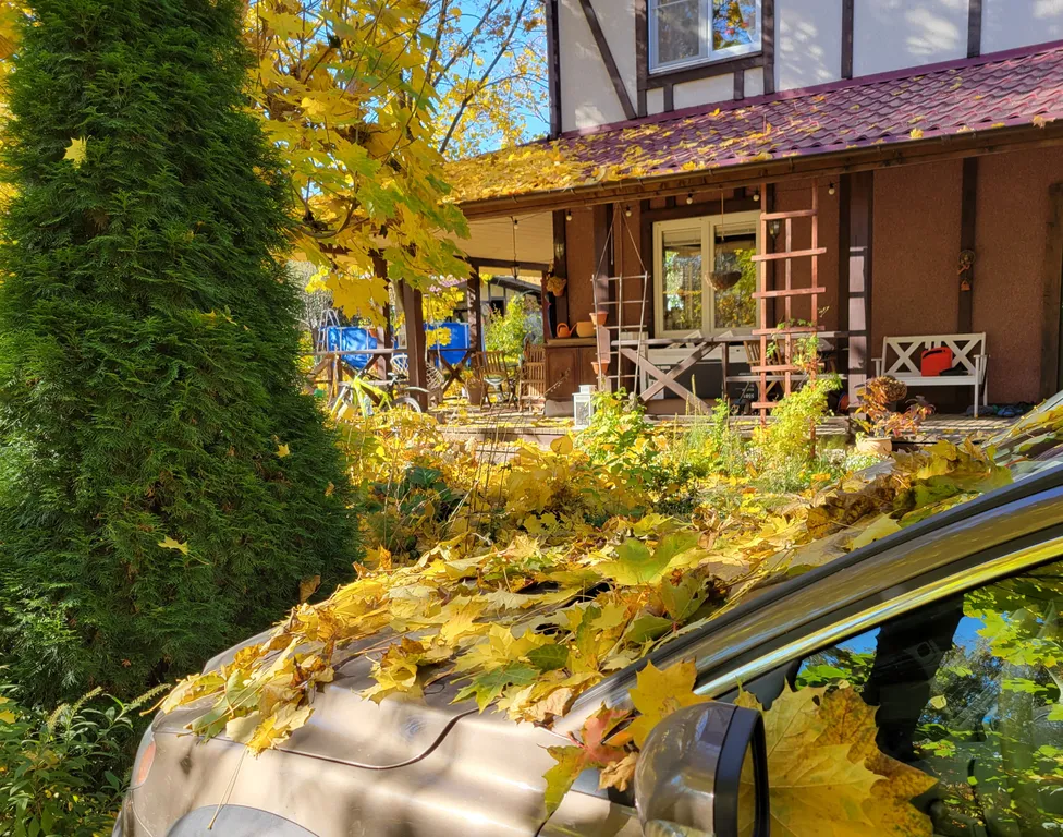 Коттедж Коттедж под сенью лесных деревьев — Москва