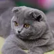 Наталья