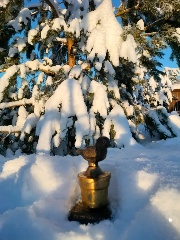 Коттедж Уютный дом у озера — Волосово