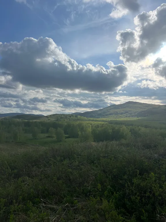 Уютная квартира напротив ГЛЦ Банное