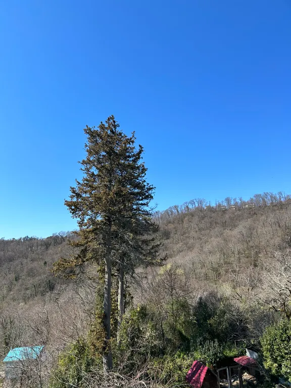Красивый домик для отдыха ближе к природе