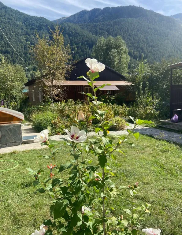 Коттедж Дом у реки с видом на горы — аренда посуточно в Теберда