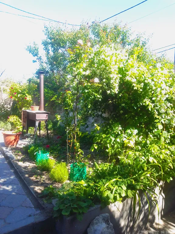 Квартира Квартира Комфортная министудия в частном домовладении возле вокзалов — Севастополь