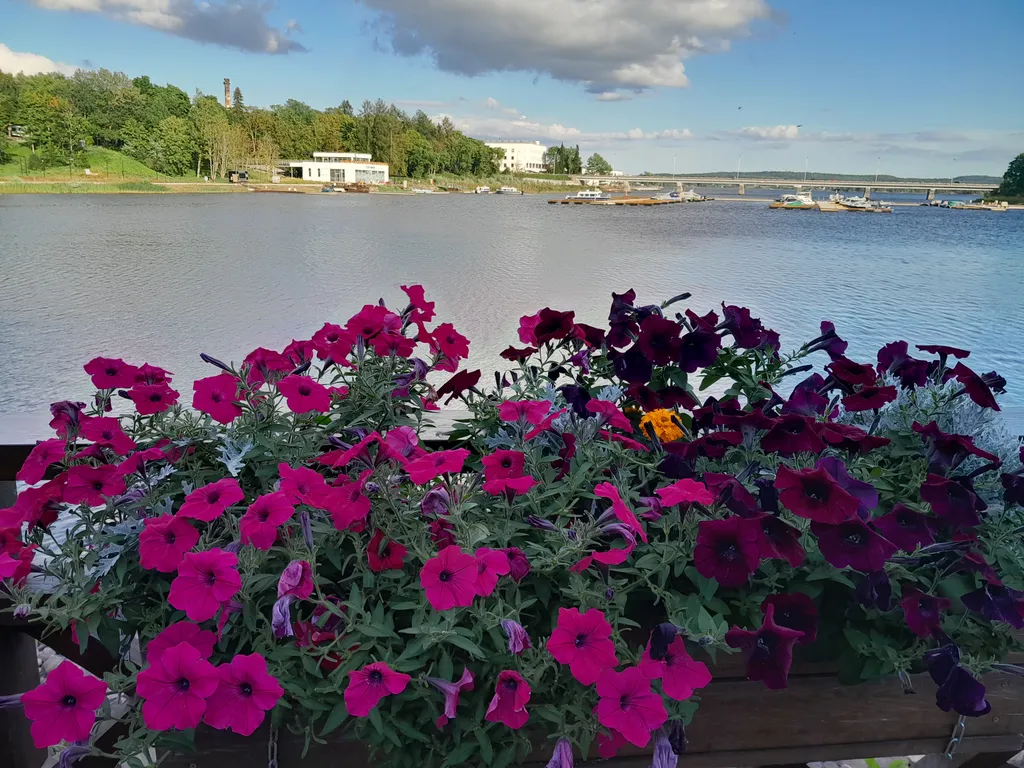 Карелия Сортавала 2 комнатная квартира, wi-fi, парковка, рядом кафе, озеро