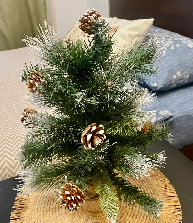 Комфорт студия для отдыха