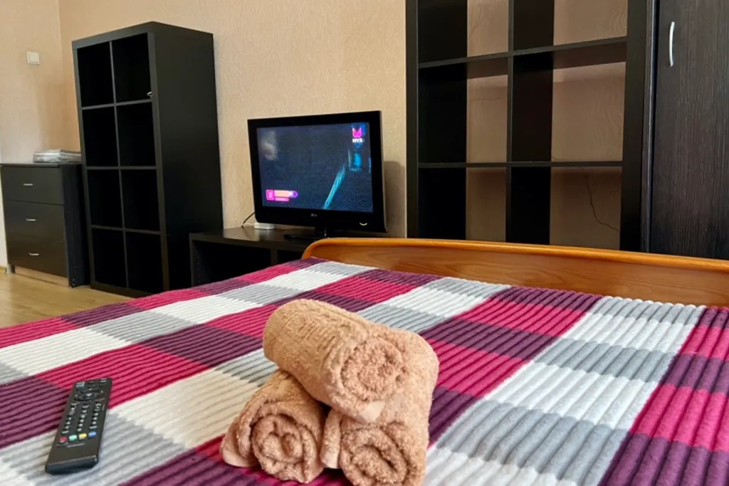 Квартира Светлая уютная квартира — Новосибирск