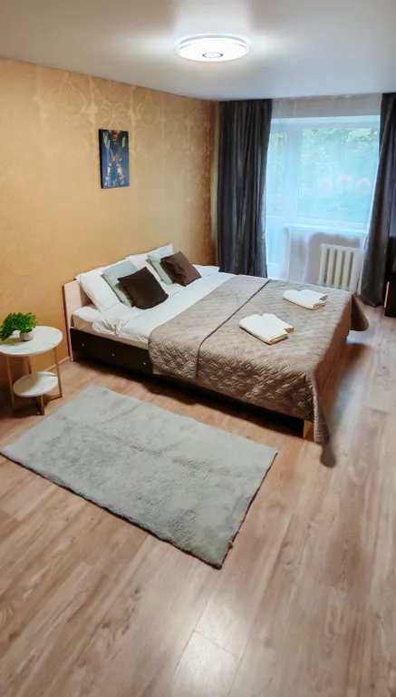 Квартира Уютная квартира между островом Канта и вокзалом — Калининград