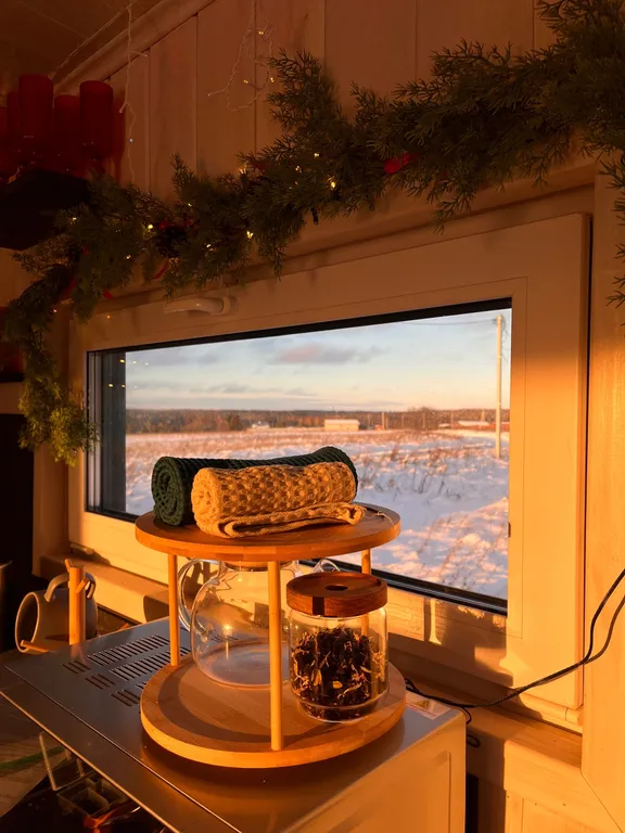 Атмосферный дом у леса