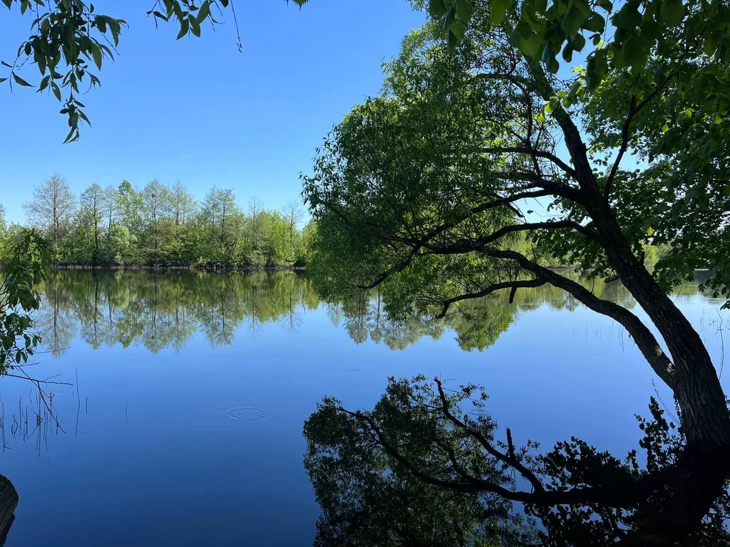 Двухместный номер у реки с зоной для барбекю 8