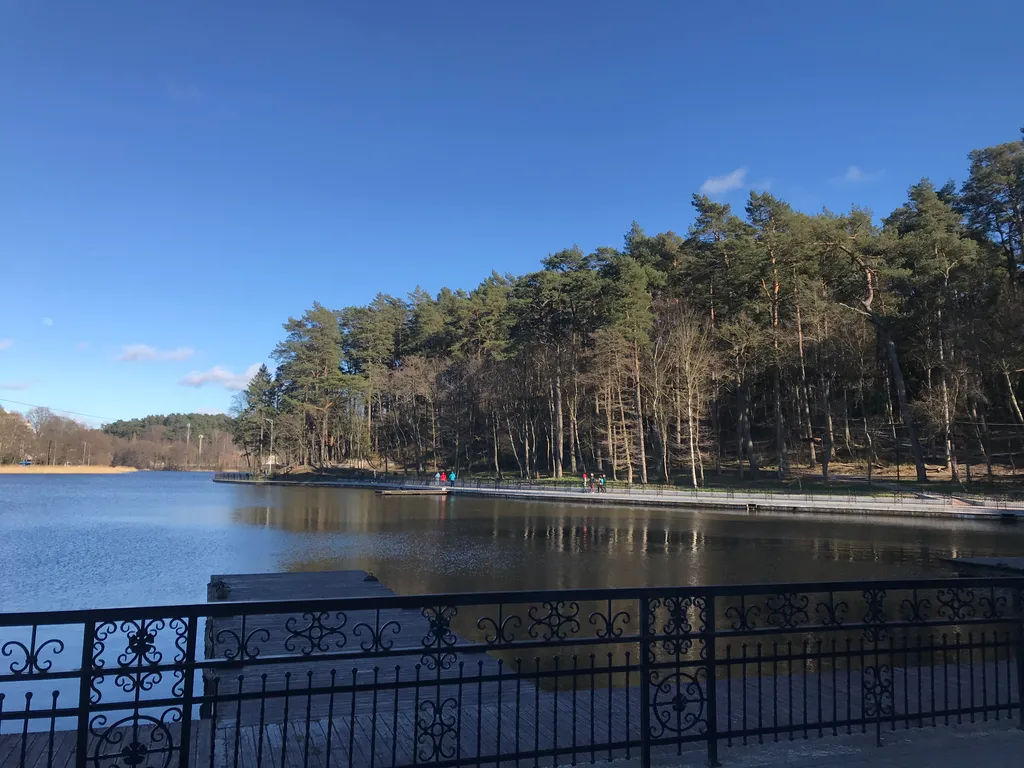 Апартаменты с видом на лес