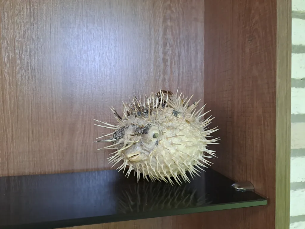 Квартира рядом с парком Победы