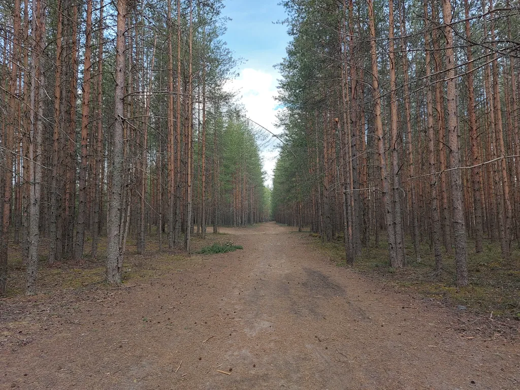 Квартира в тихом районе