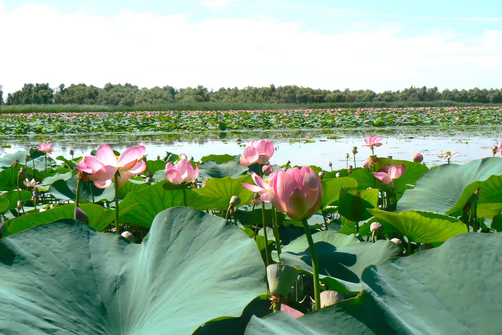 Домик у реки