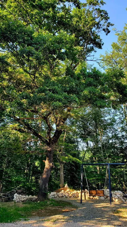 Барн-хаус 2+1 в тишине у леса и горной реки