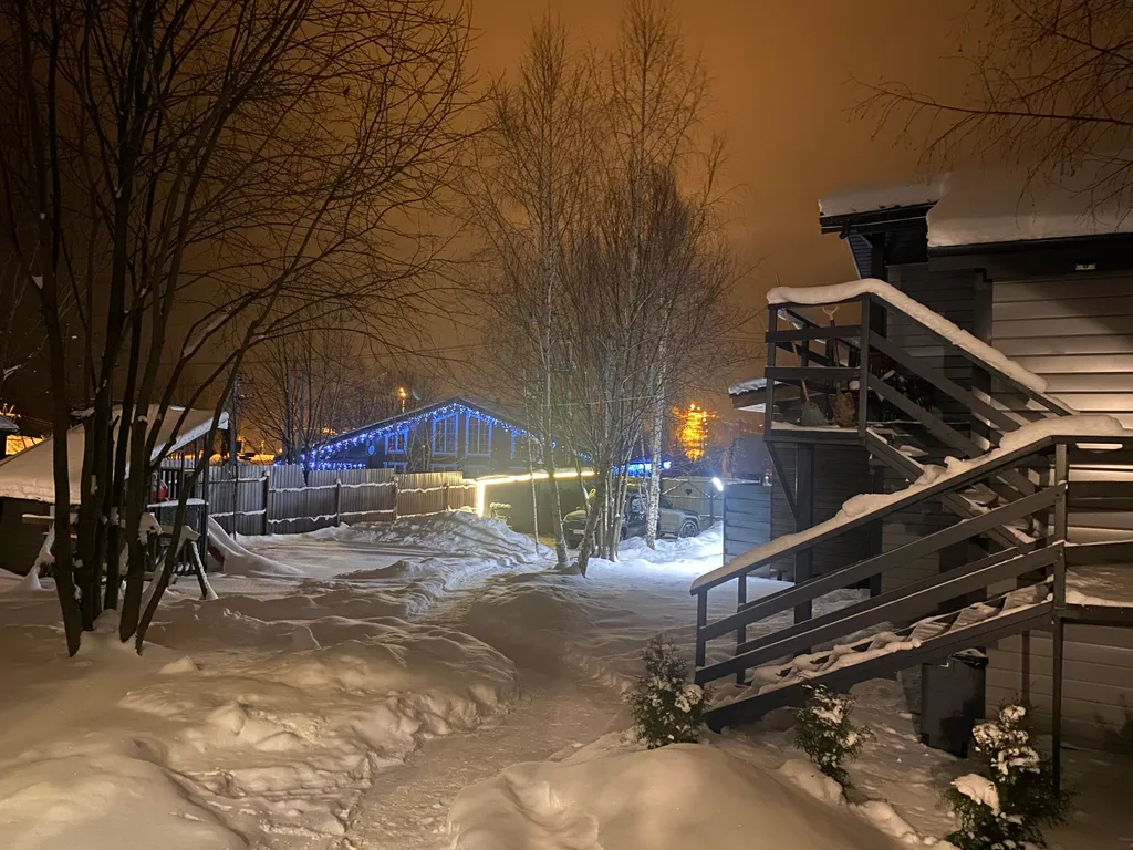 Снегири&Синички