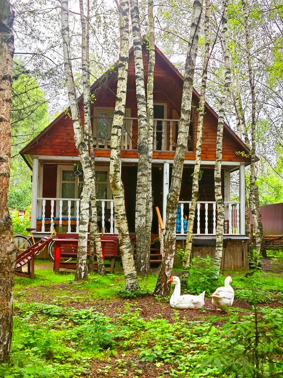 Вишнёвый домик в Махре