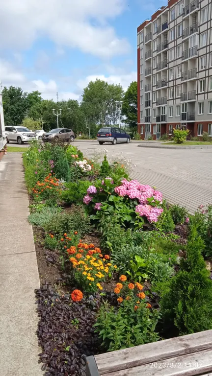 Квартира Комфортная квартира для семьи — Светлогорск