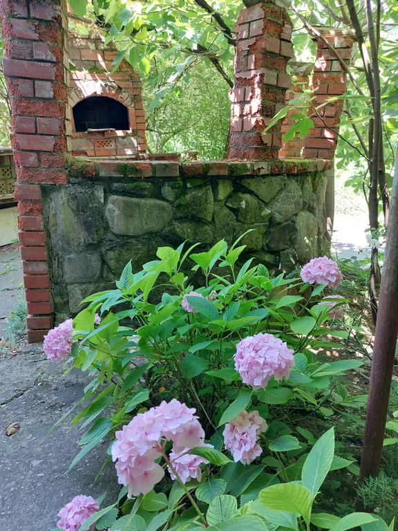 Уютный дом с камином на опушке леса