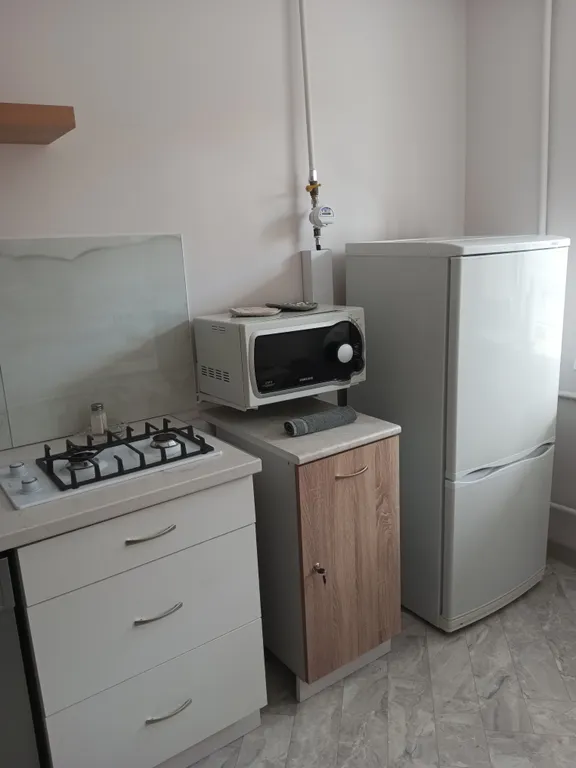 Уютная квартира Белый Слоник в историческом центре города