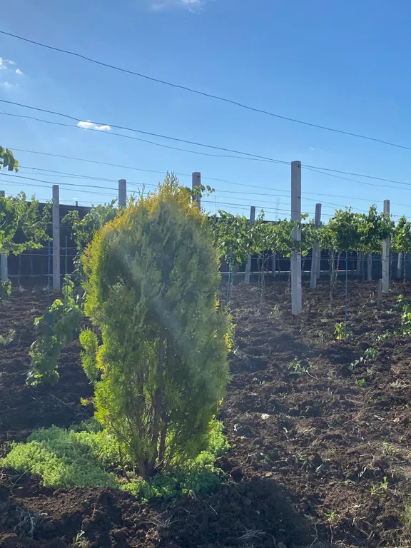 Уютный домик у моря