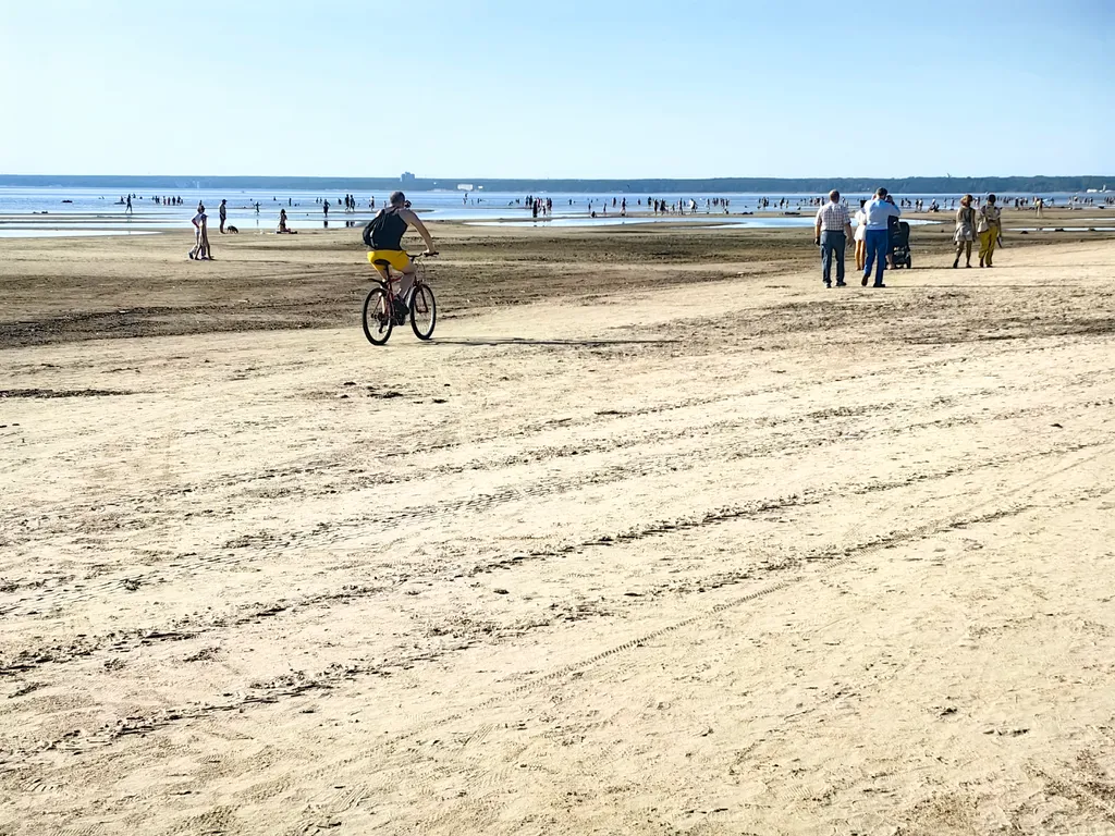 Курортный люкс с видом на лес