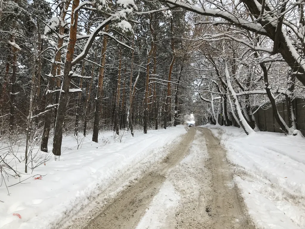 Квартира для отдыха в экологически чистом районе