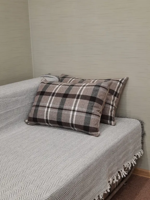 Уютная студия в центре города