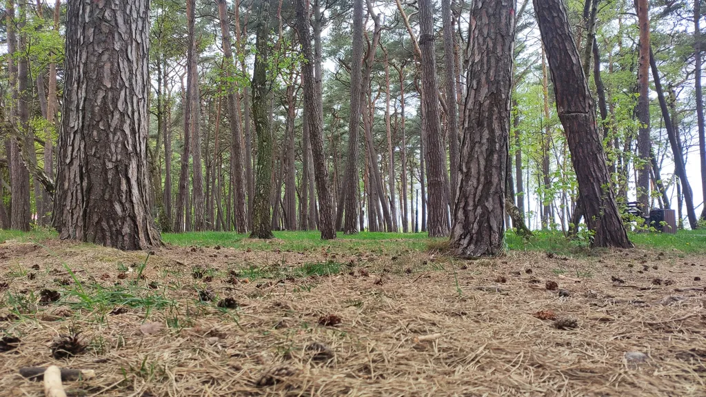 Квартира в городе Пионерском в 100 метрах от городского пляжа