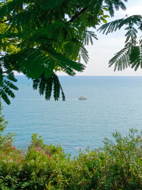 Квартира Квартира в ЗОЛОТОМ треугольнике Сочи.Лучший район. — Сочи