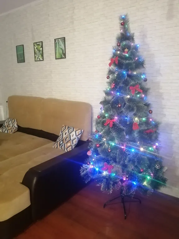 Студия на набережной Волги