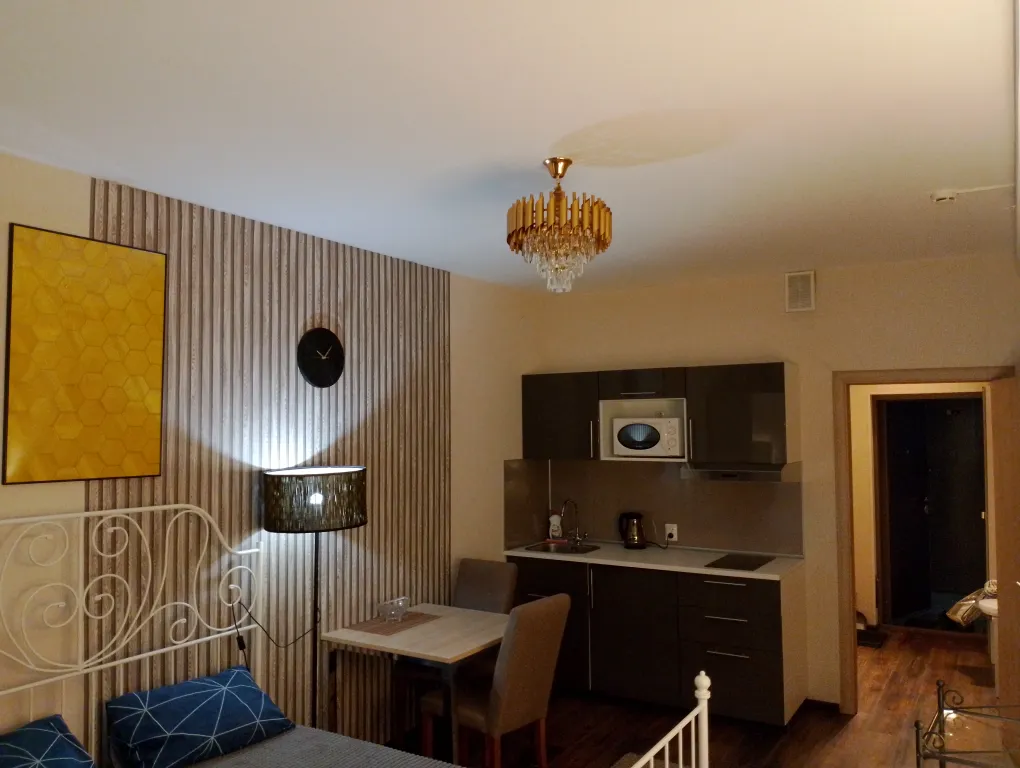 Шикарная Home студия у метро
