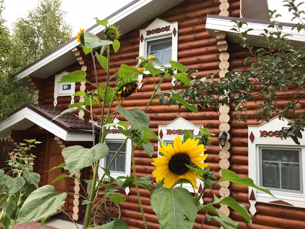 Дом из бревна Терем с сауной в черте города