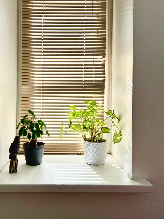 Светлая квартира рядом с Онежским озером