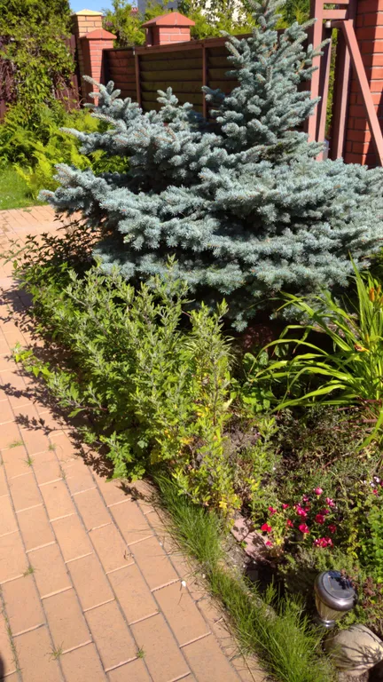 Дом в средиземноморском стиле