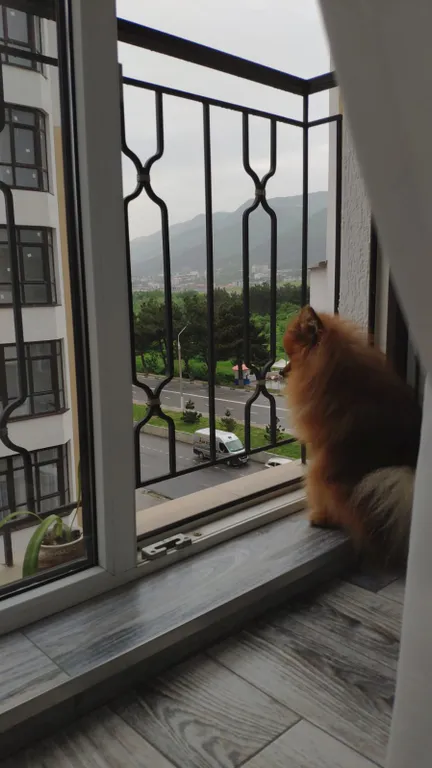 Квартира Комфортная квартира в престижном ЖК Жуковский — Геленджик