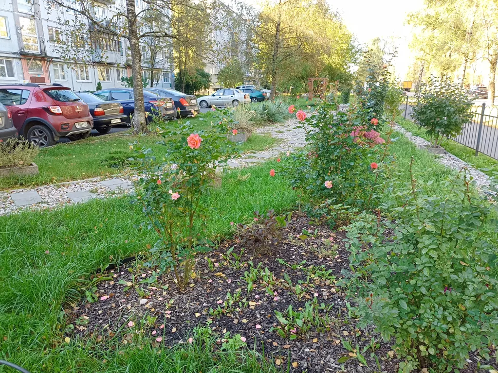 Квартира Уютная 2-комнатная квартира, своя парковка, красивый двор — Великий Новгород