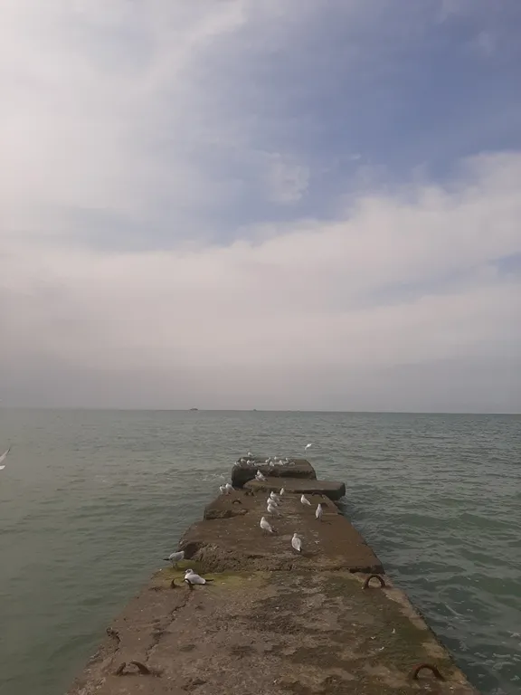 Квартира Квартира Студия у моря — Адлер