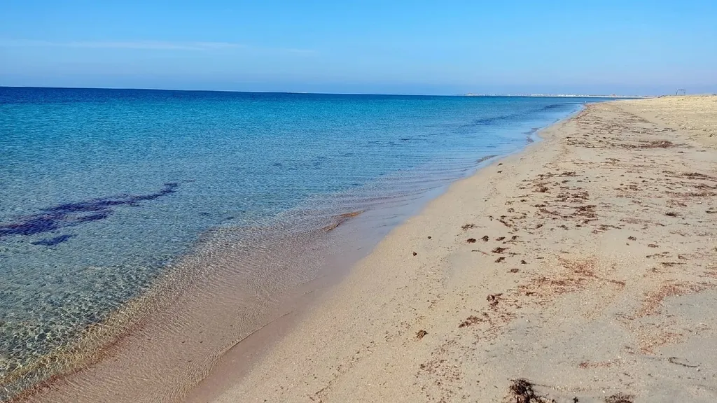 Квартира Апартаменты рядом с морем. — Витино