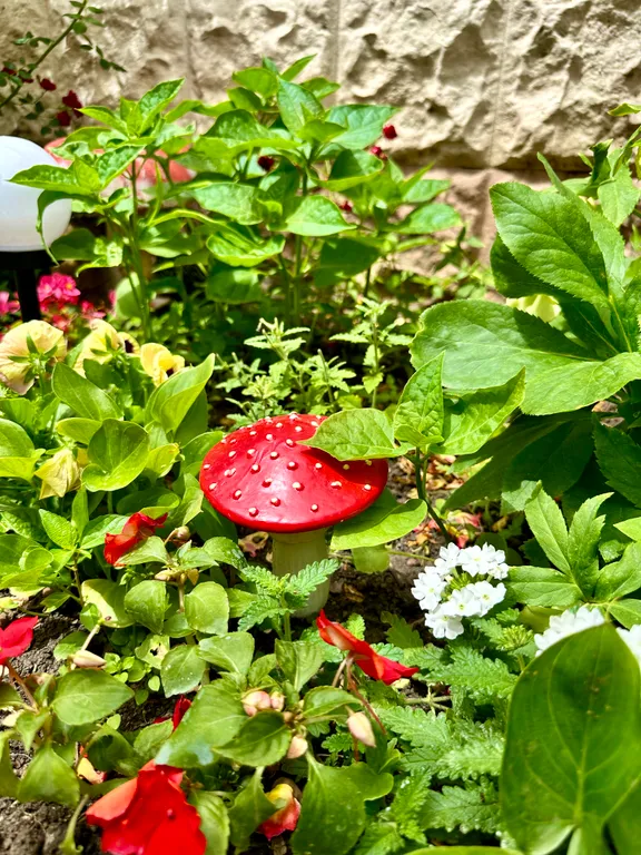 Уютный этаж под ключ в центре города