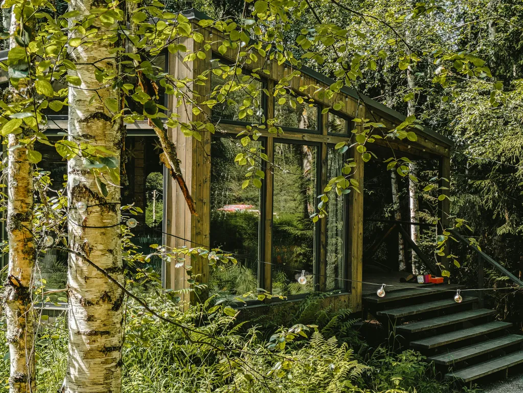 Уютный дом в лесу