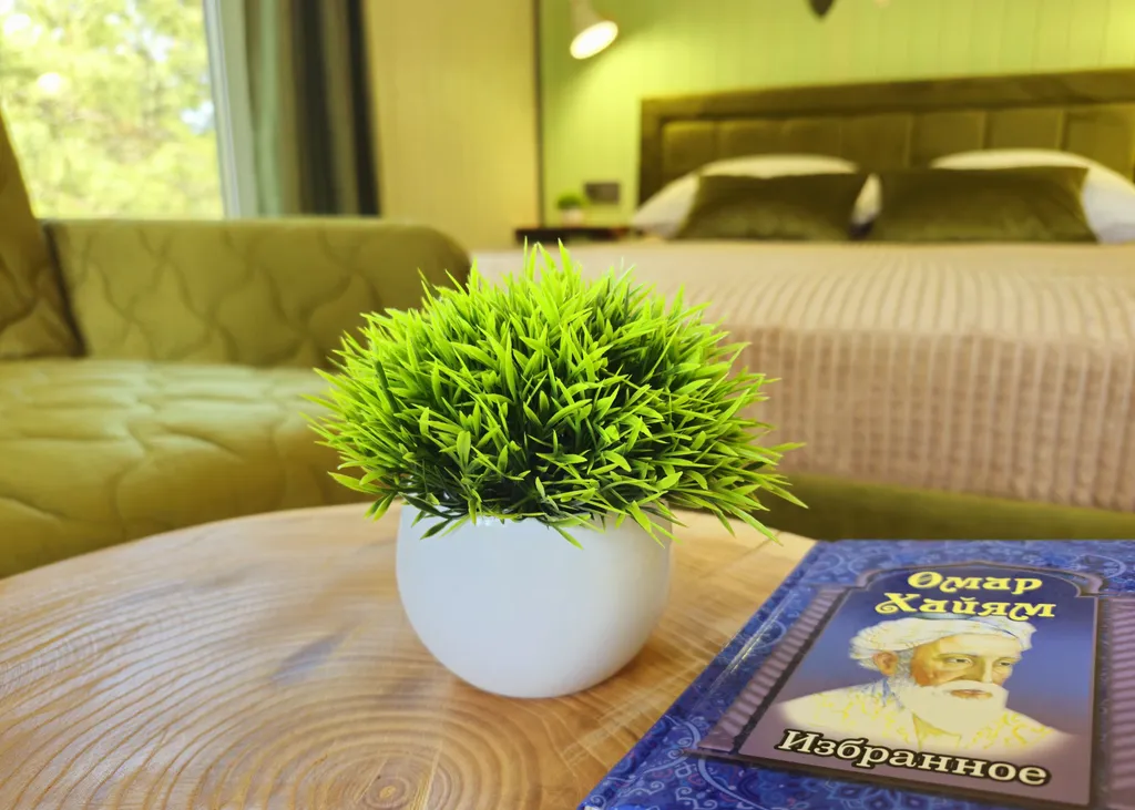 3-х местный Люкс Олива