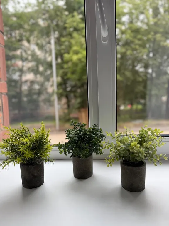 Квартира Апартаменты у Ботанического сада — Москва