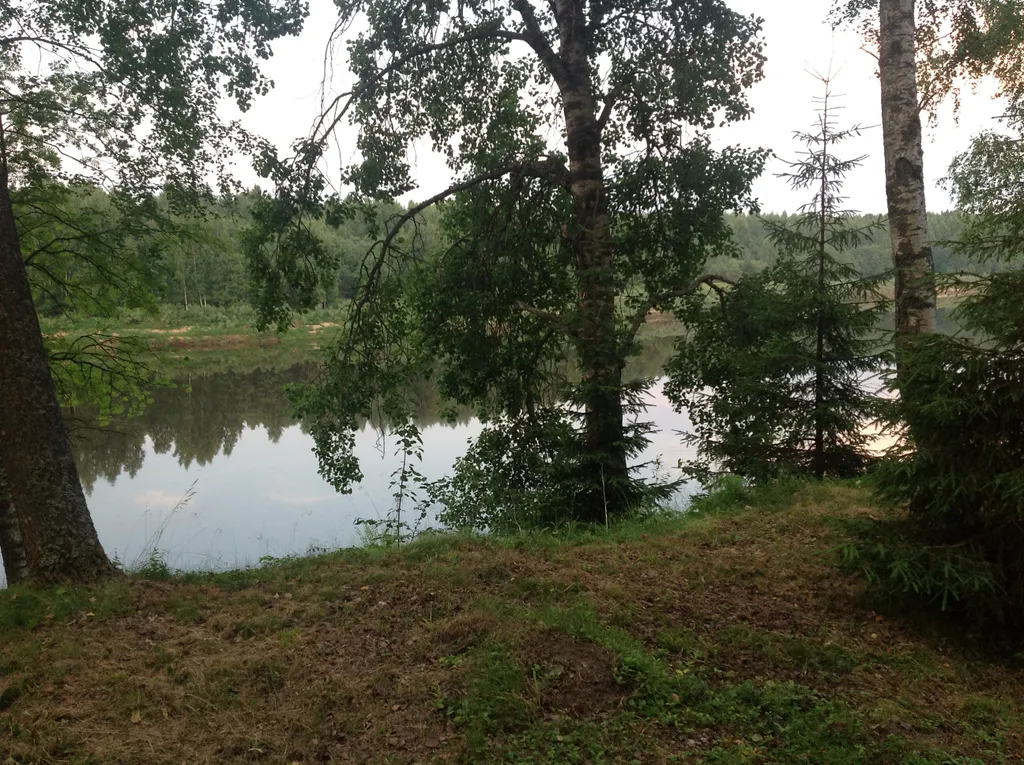 Лесная сказка