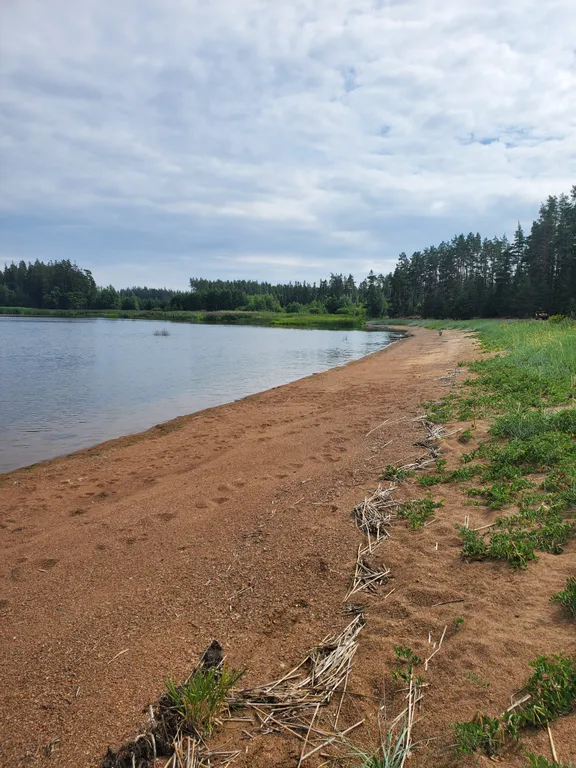 Уютный дом рядом с усадьбой Ёкикюля