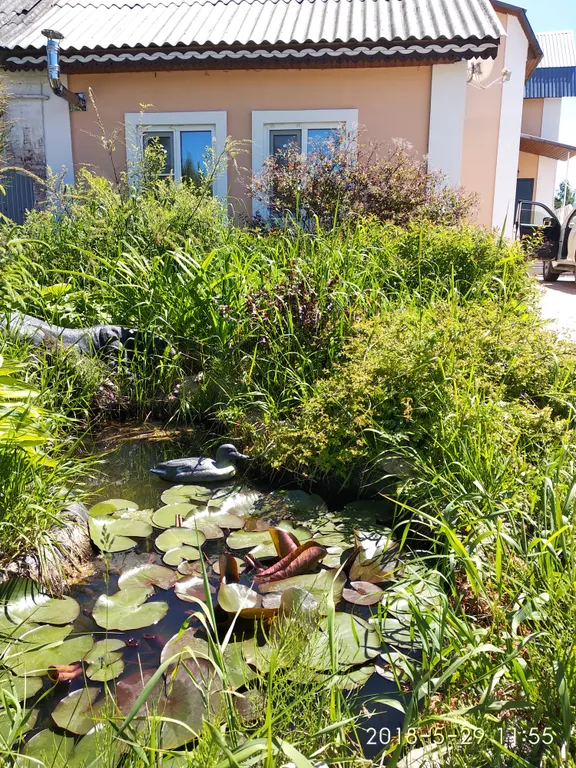 Гостевой домик студия